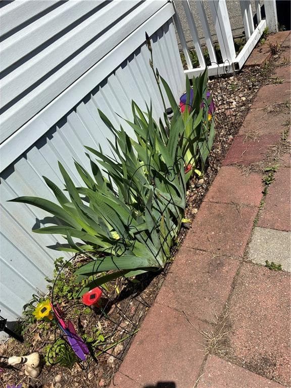 245 Manton Street photo 2