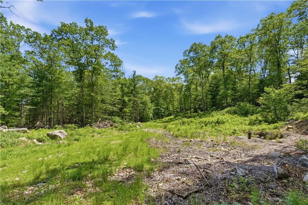 Unimproved Land at 234 John Potter Road, West Greenwich, photo 2 of 3