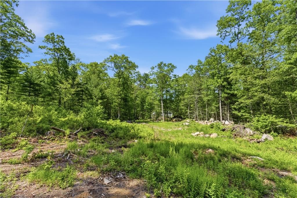 Unimproved Land at 234 John Potter Road, West Greenwich, photo 3 of 3