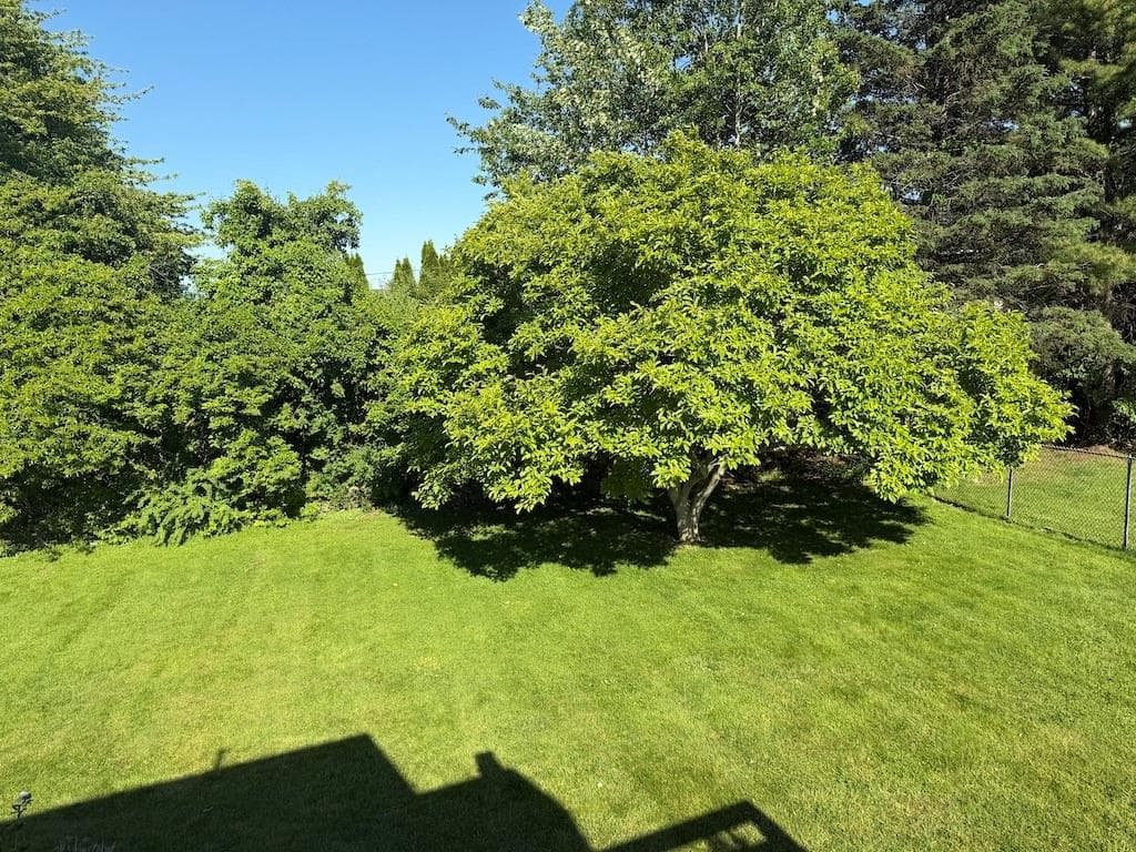 15 Casey Drive photo 24