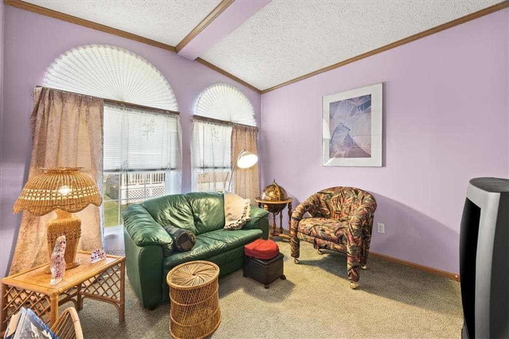 59 Robin Drive photo 6