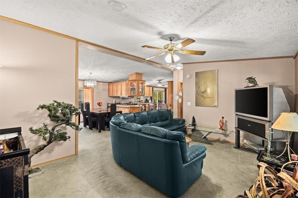 59 Robin Drive photo 24