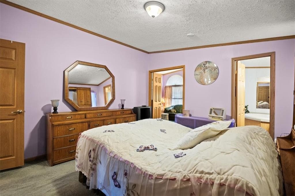 59 Robin Drive photo 11