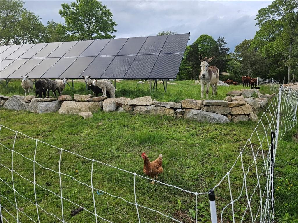 241 Cornell Road photo 2