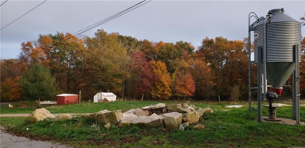 241 Cornell Road photo 7