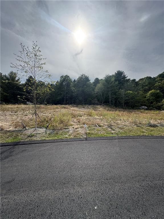 0 Jackson Pond LOT 25 Road photo 2