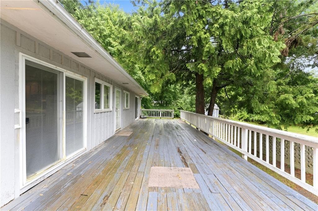 41 Shirley Street photo 22