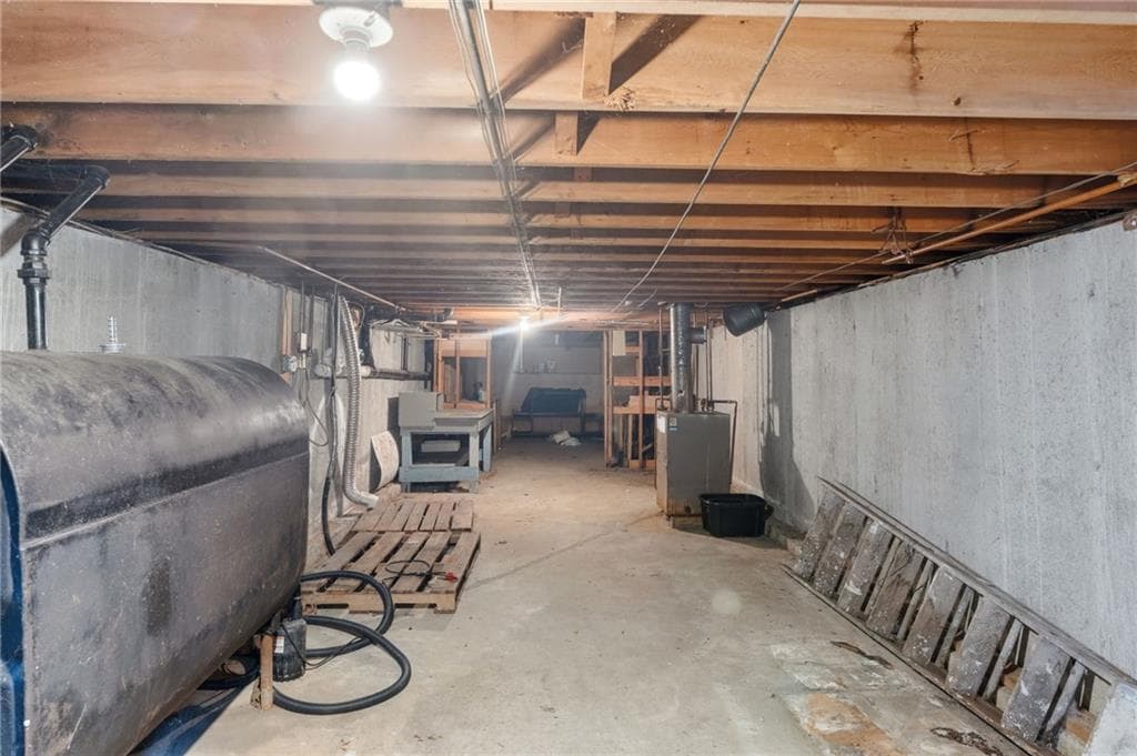 41 Shirley Street photo 18