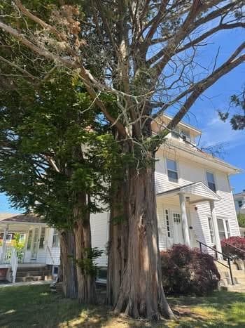 2249 Cranston Street photo 2