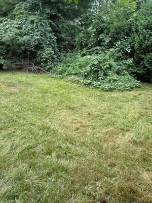 2 barden Lane photo 18