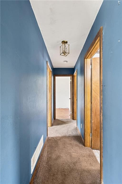 20 Wood Road photo 11