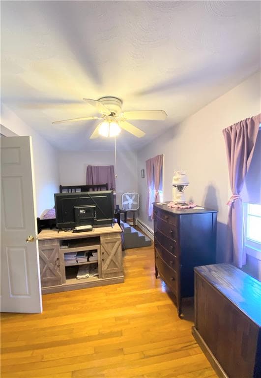 128 Fern Street photo 14