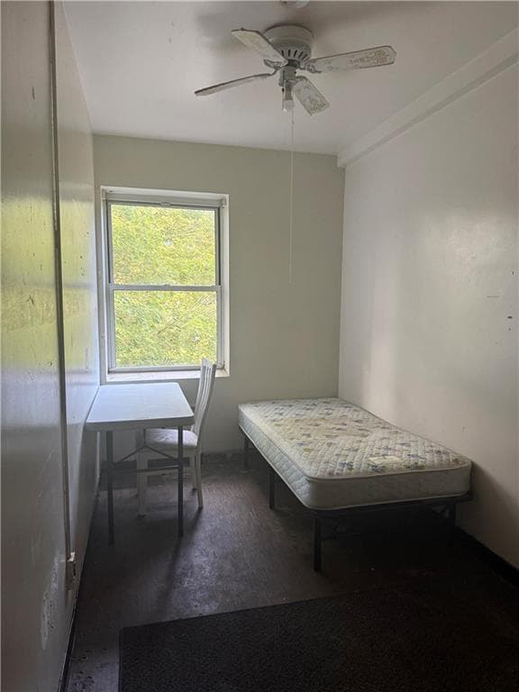 53 Coe Street photo 9