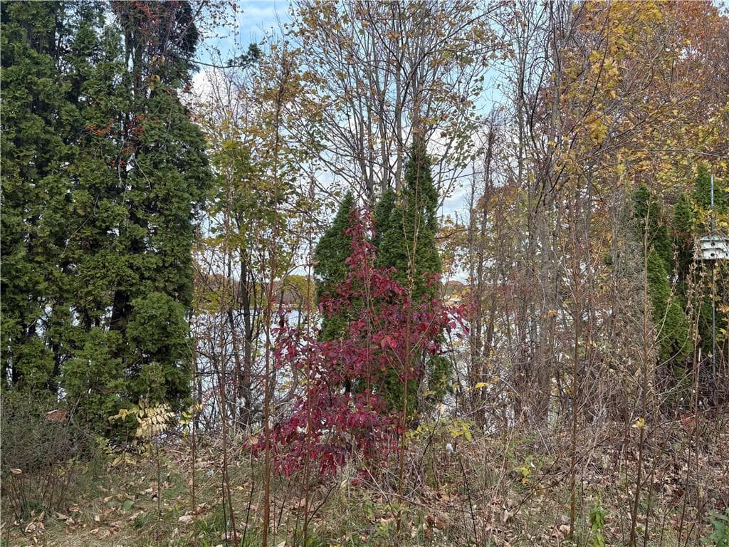 351 COUNTY Road photo 5