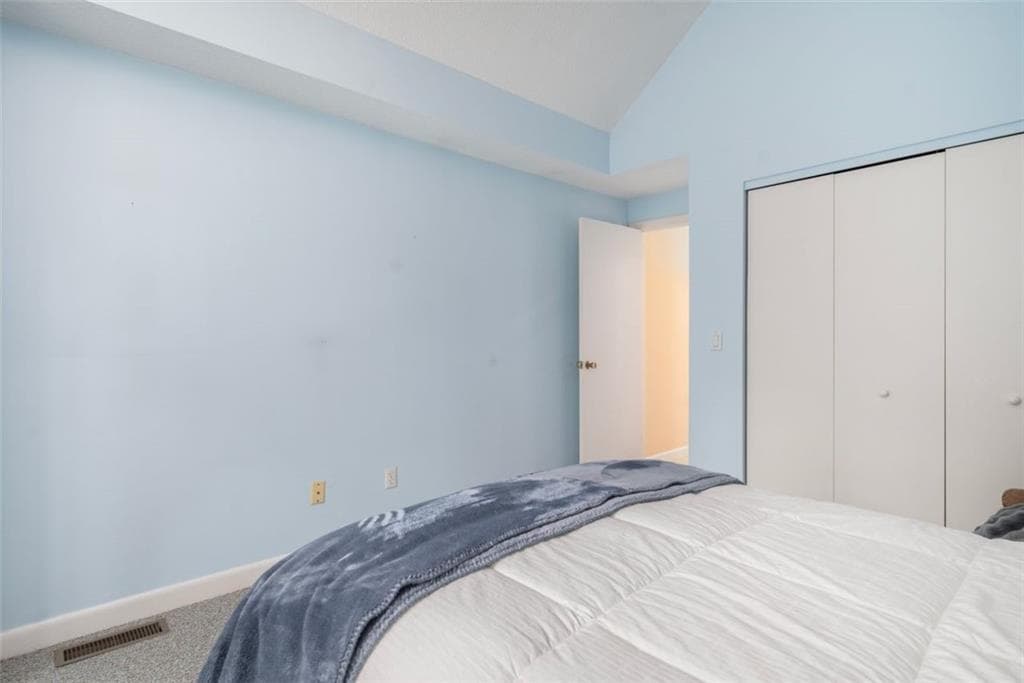 24 White Birch Court photo 15
