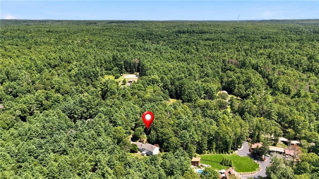 6752 Flat River Road photo 46