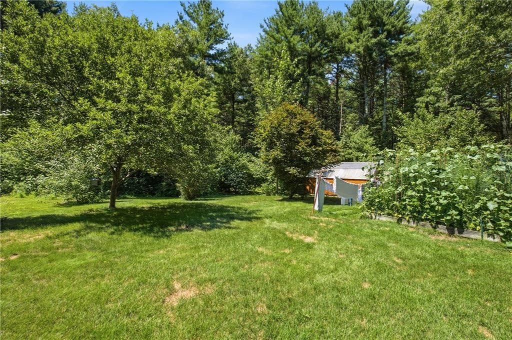 6752 Flat River Road photo 40