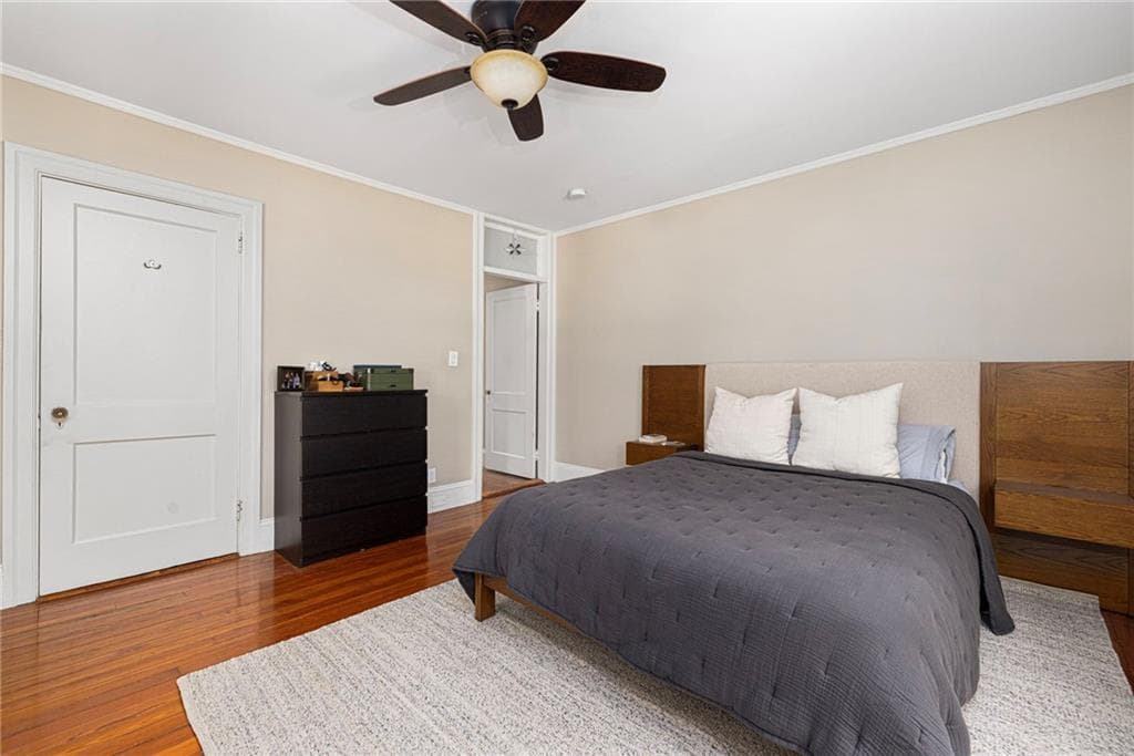 26 Paterson Street photo 35