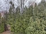 351 County Road photo 6