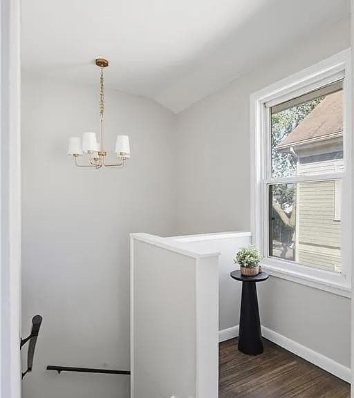 59 bourne Avenue photo 9
