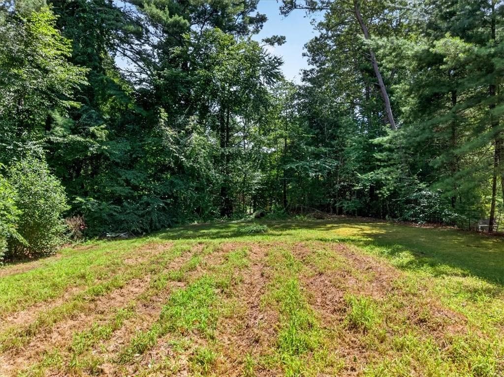 40 Thurston Drive photo 27
