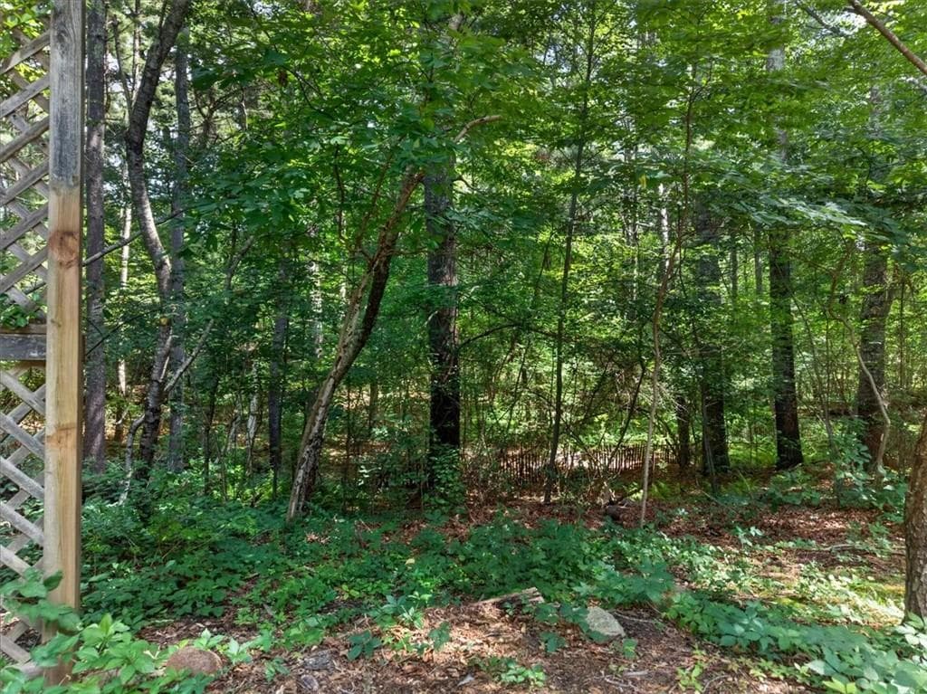 40 Thurston Drive photo 28