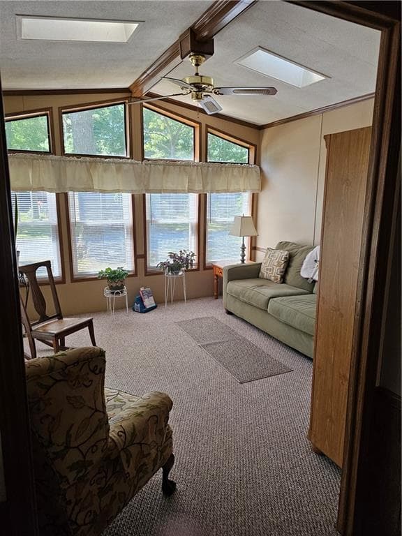 7 Idlewild Court photo 11