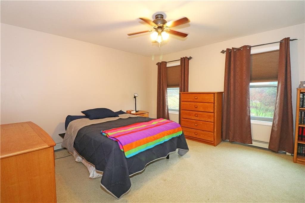 359 Main Road photo 27
