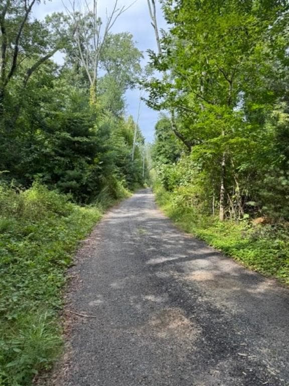 Unimproved Land at 394 Snake Hill Road, Glocester, photo 9 of 10