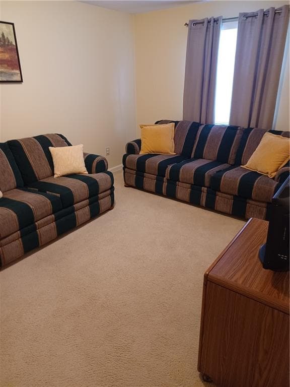 Condominium at 113 Scenery Lane, Johnston, photo 13 of 25