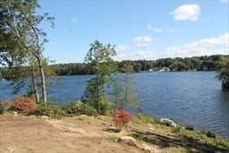 Unimproved Land at 133 Lakeshore Drive, Blackstone, photo 8 of 9