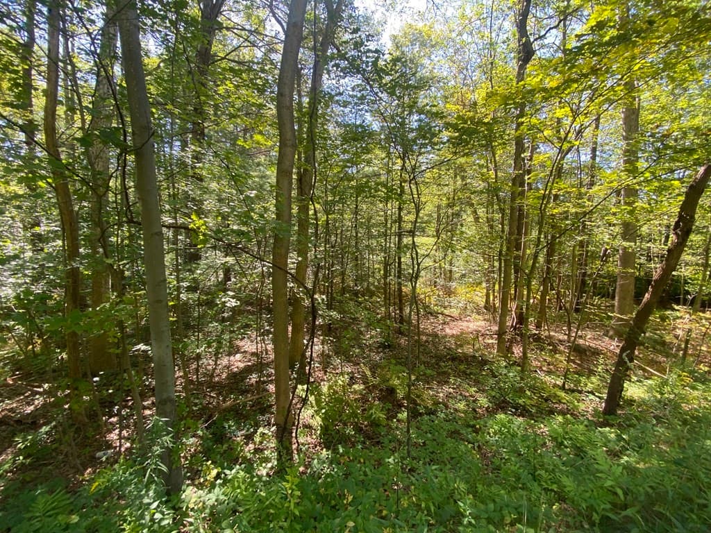 0 State Road, Erving MA 01344
