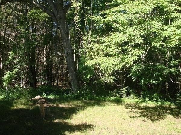 Land at 386 Wareham Street, Middleboro MA 02346, Middleboro, photo 10 of 15