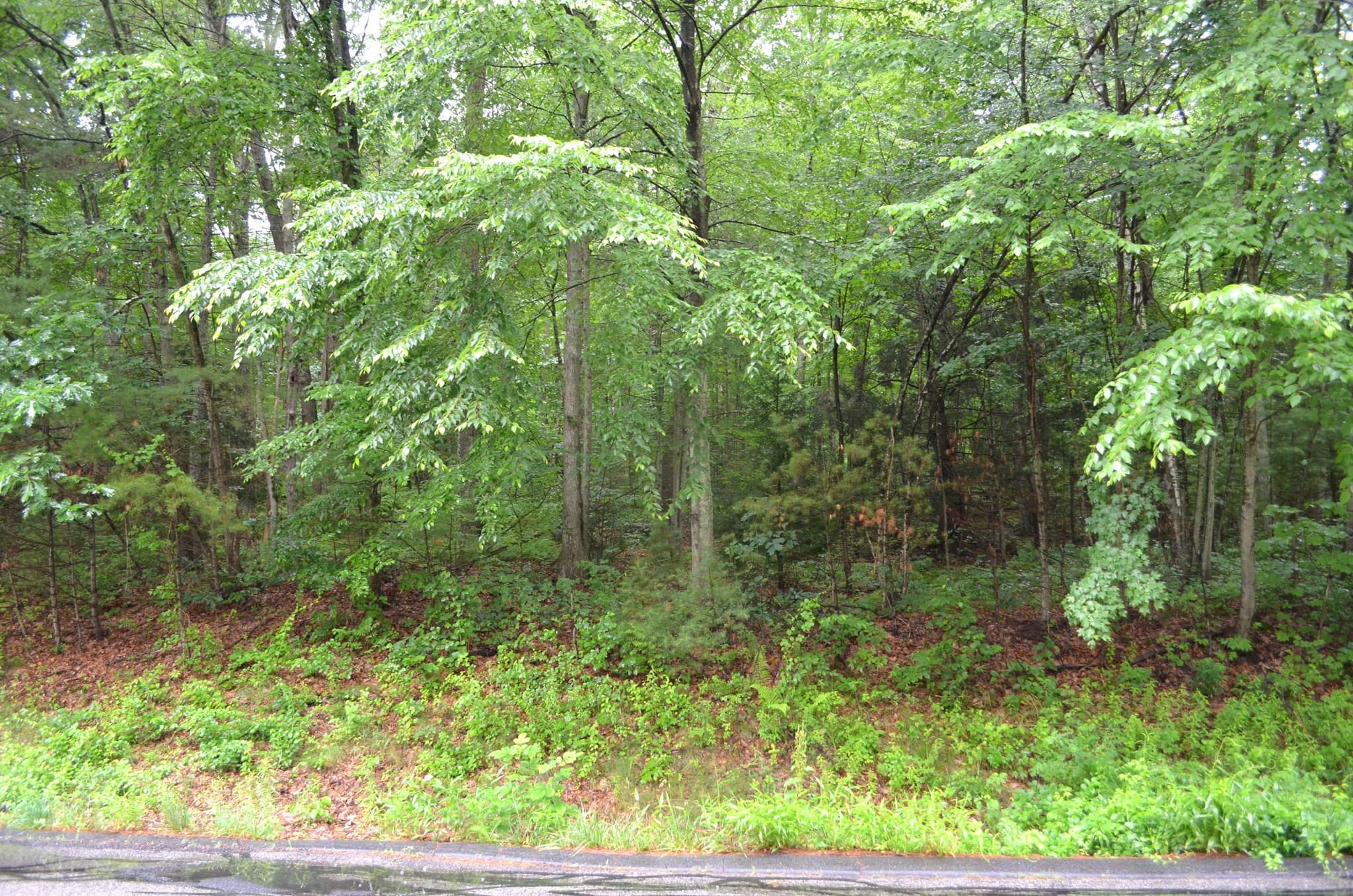 Residential at Lot 5 Babcock Tavern Rd, Ware MA 01082, Ware, photo 3 of 3