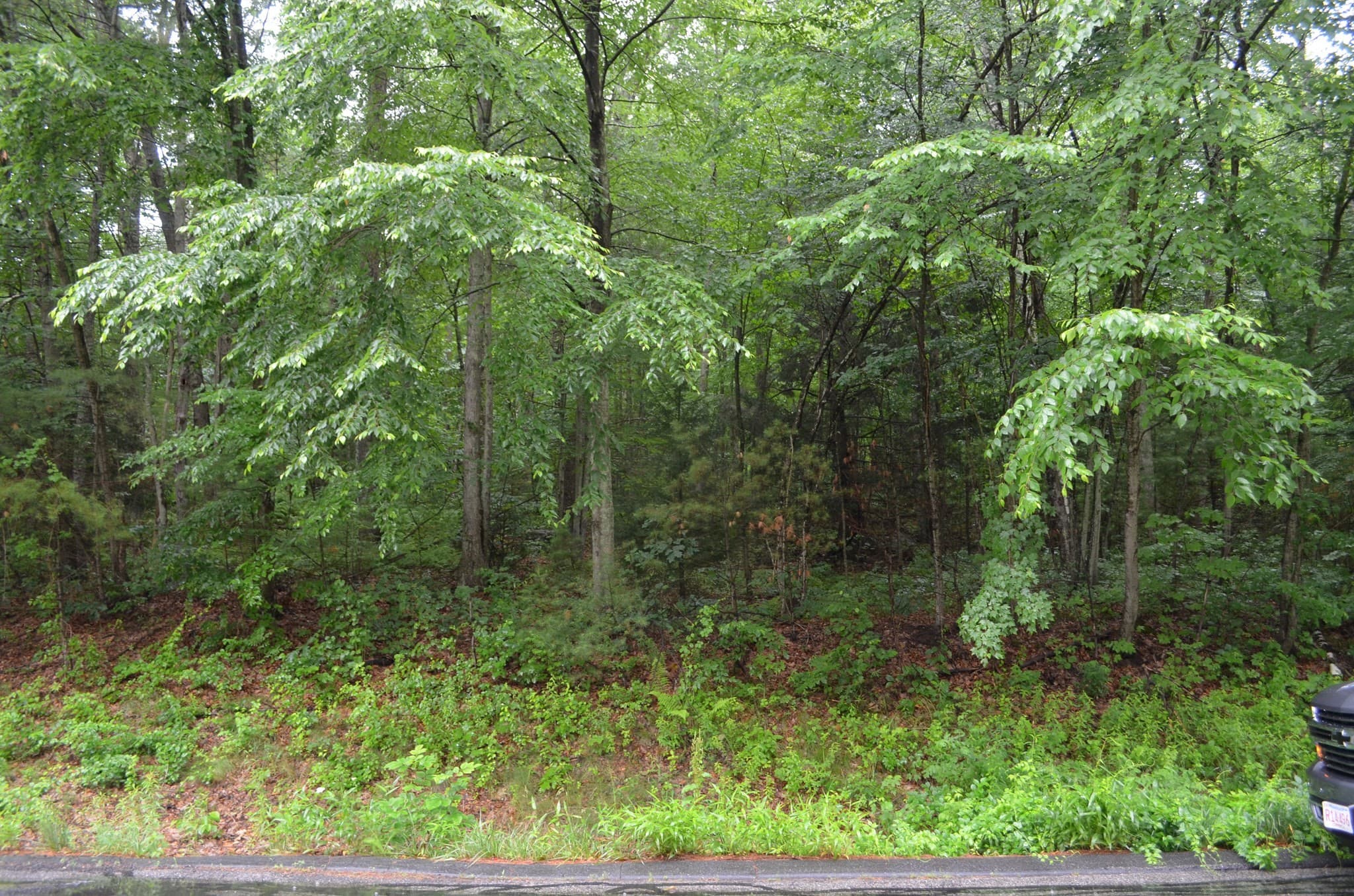 Lot 5 Babcock Tavern Rd, Ware MA 01082