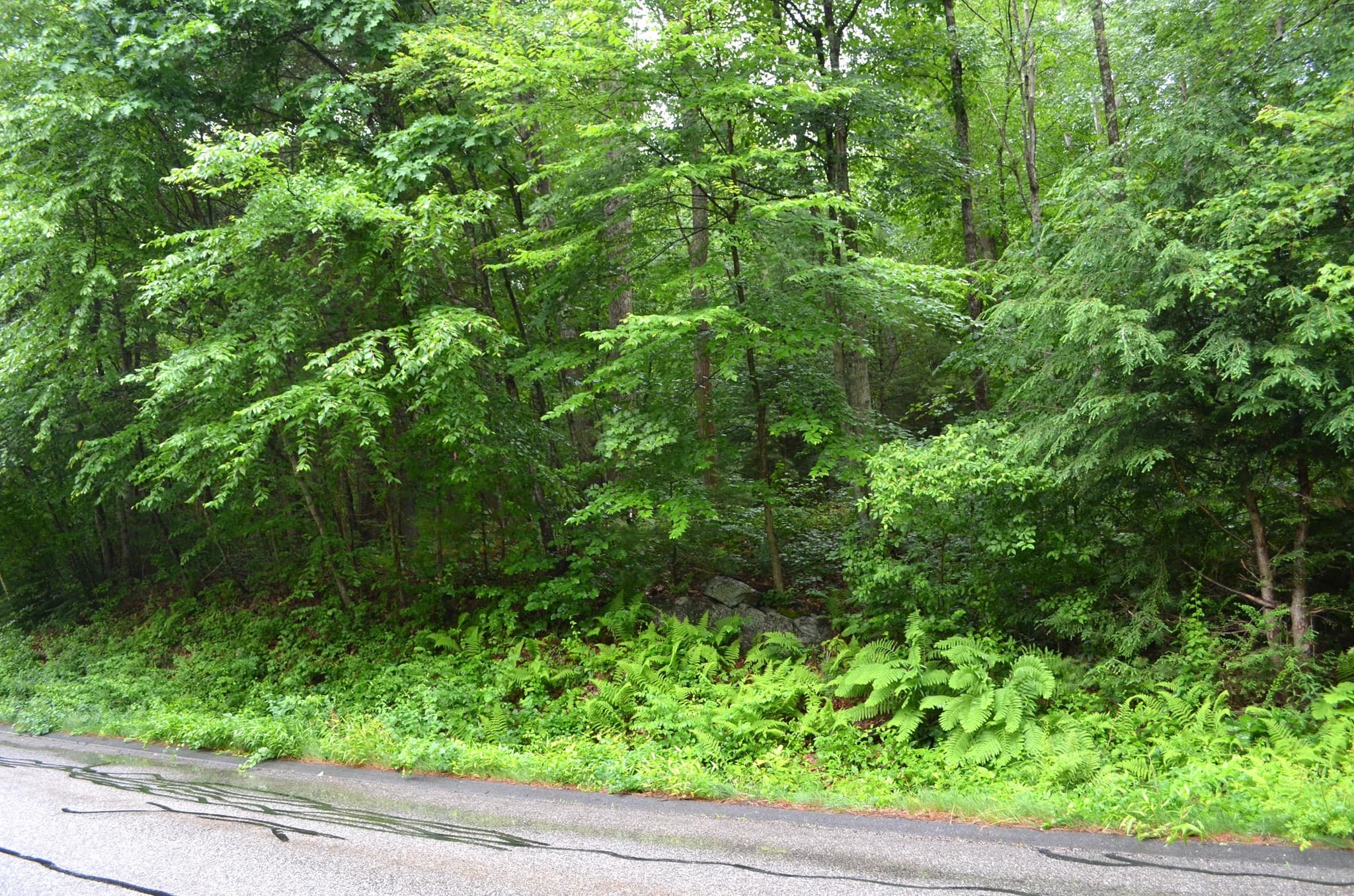 Residential at Lot 3 Monson Turnpike Rd, Ware MA 01082, Ware, photo 2 of 3