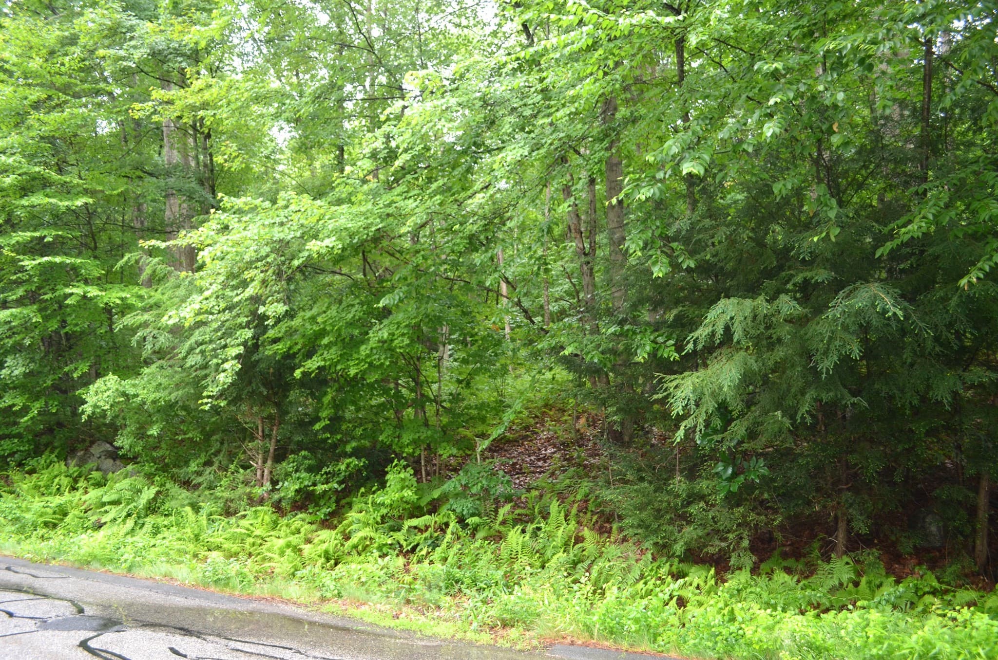 Residential at Lot 3 Monson Turnpike Rd, Ware MA 01082, Ware, photo 3 of 3