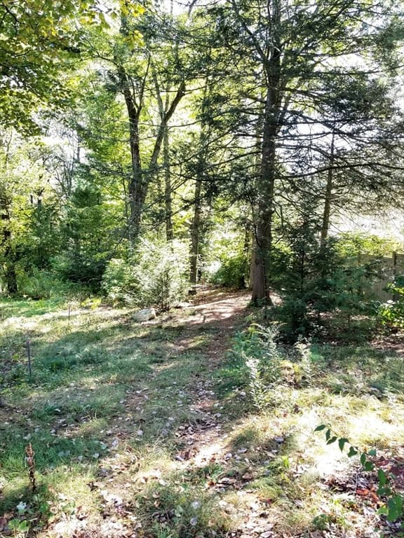 0 Red Gate, Amherst MA 01002 photo 4