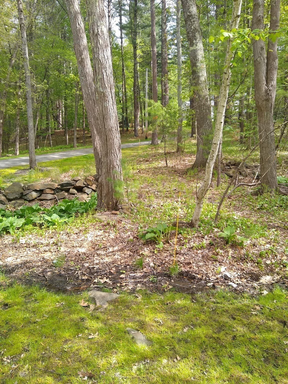 Residential at 534 Ipswich Road, Boxford MA 01921, photo 4 of 6