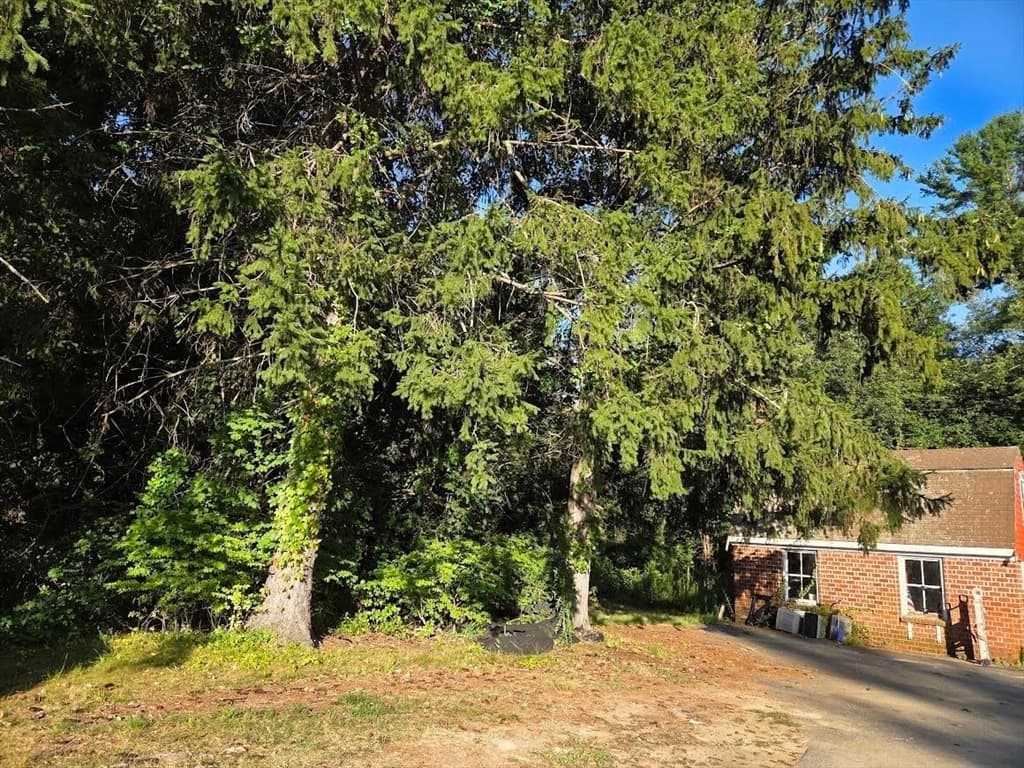 195 E Main St, Norton MA 02766 photo 15