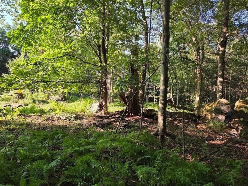 195 E Main St, Norton MA 02766 photo 8