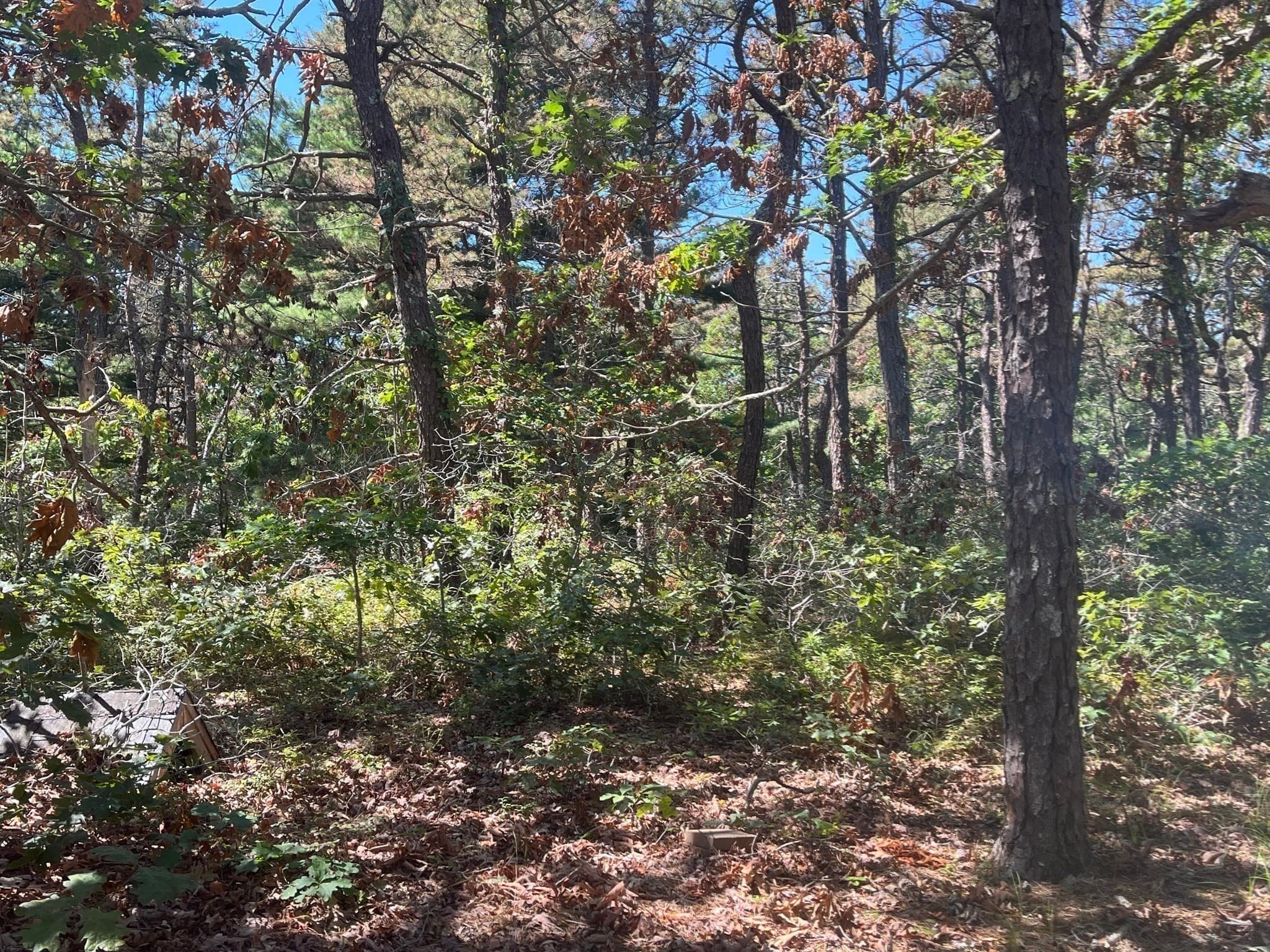 Residential at 10 Shadbush, Mashpee MA 02649, photo 8 of 10