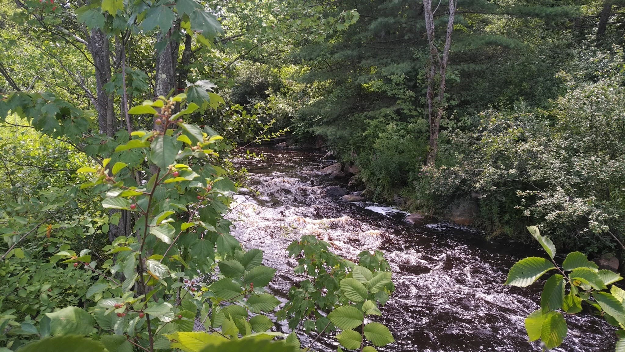 Land at 12 Lots For Sale On Mill St, Templeton MA 01436, photo 6 of 10