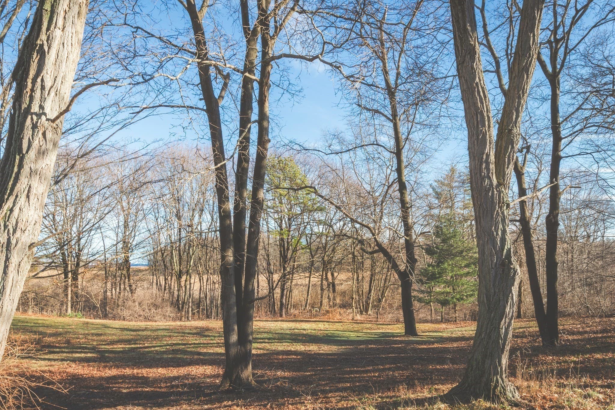 Residential at 23 Jeffreys Neck Rd, Ipswich MA 01938, photo 10 of 12