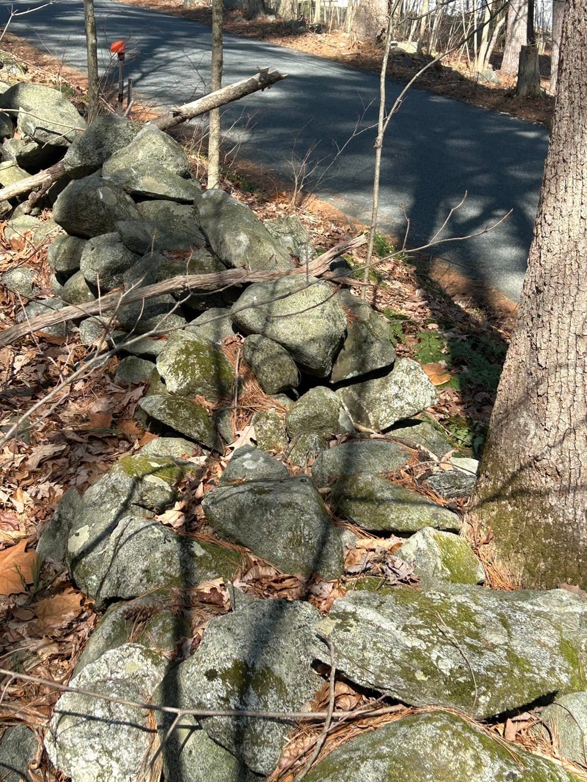Residential at 18C Granby Rd., Belchertown MA 01007, Belchertown, photo 10 of 11