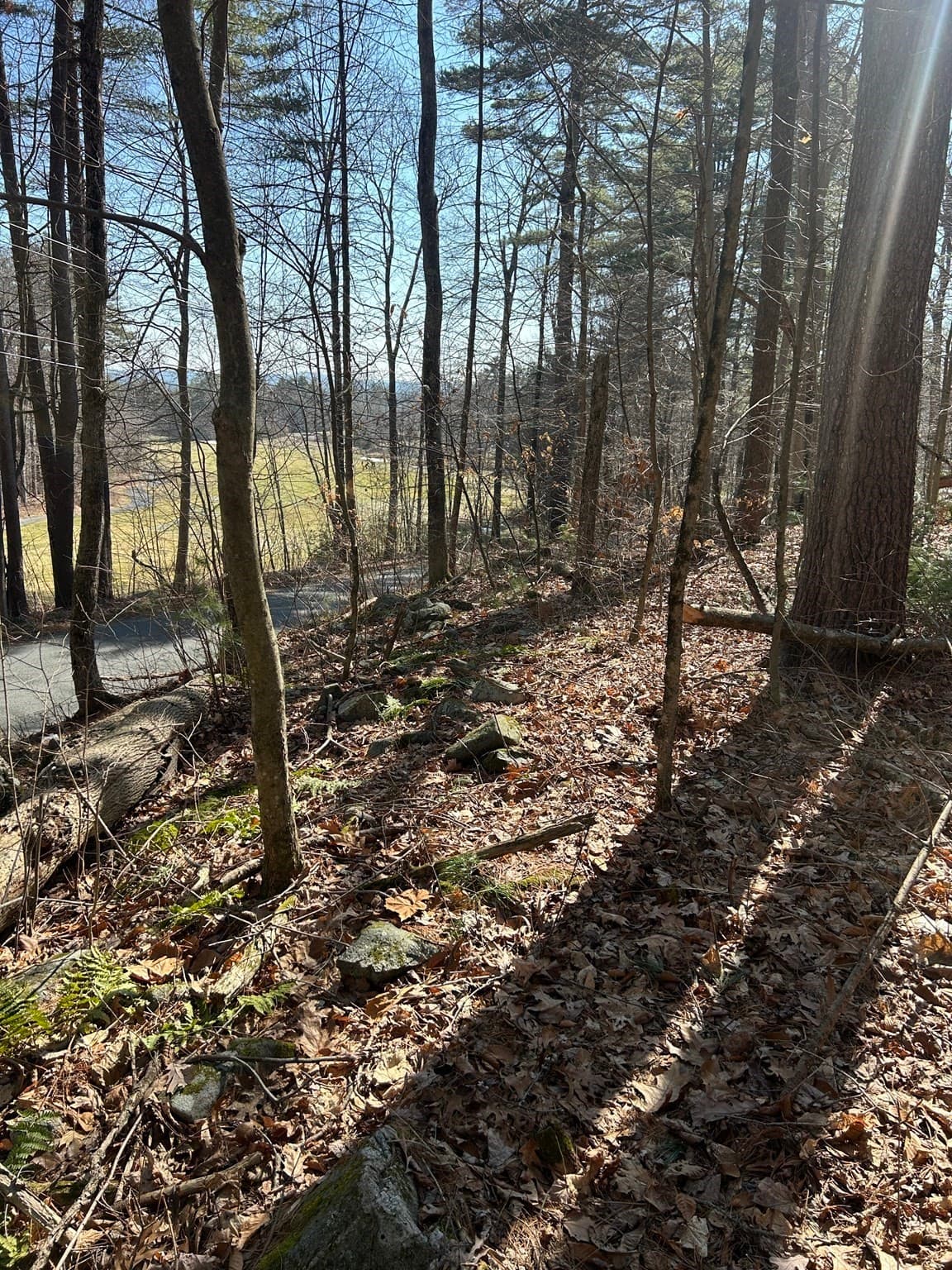 Residential at 18C Granby Rd., Belchertown MA 01007, Belchertown, photo 8 of 11