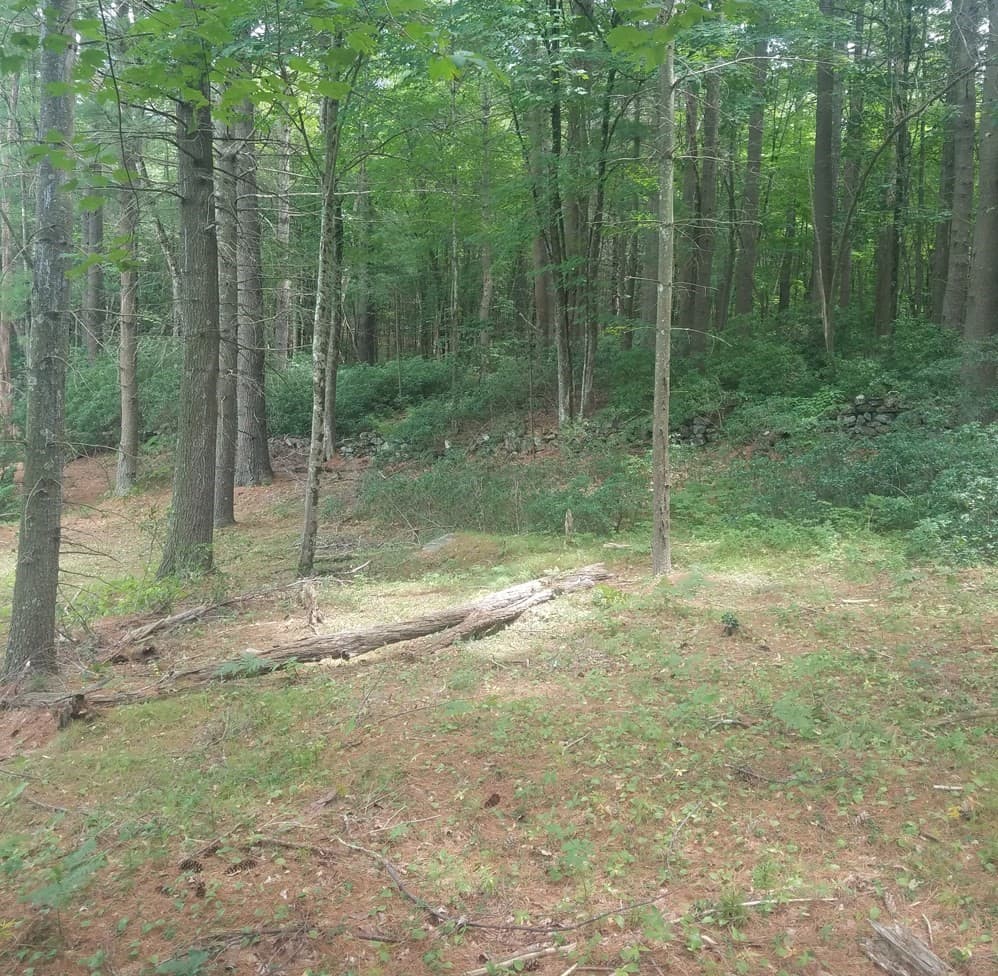 Residential at 266 Holland Rd, Sturbridge MA 01518, Sturbridge, photo 12 of 19