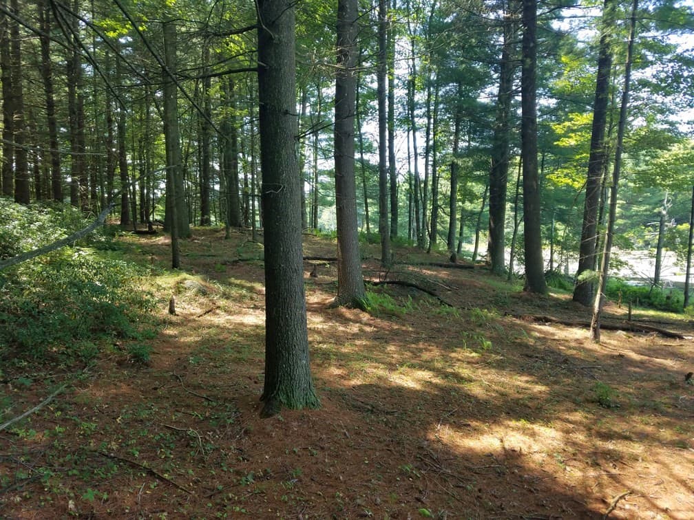 Residential at 266 Holland Rd, Sturbridge MA 01518, Sturbridge, photo 5 of 19