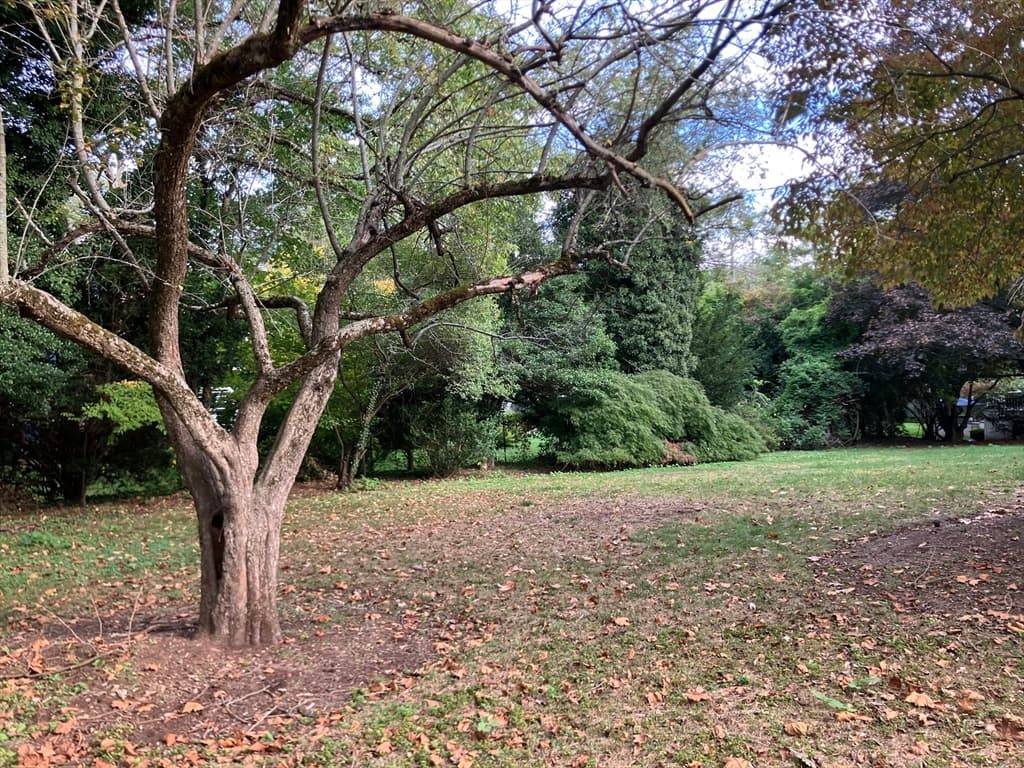 0 Glenoe Rd, Brookline MA 02467