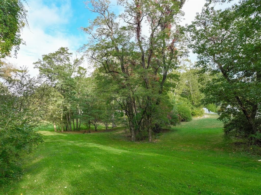 79 Goddard Avenue, Brookline MA 02445 photo 9